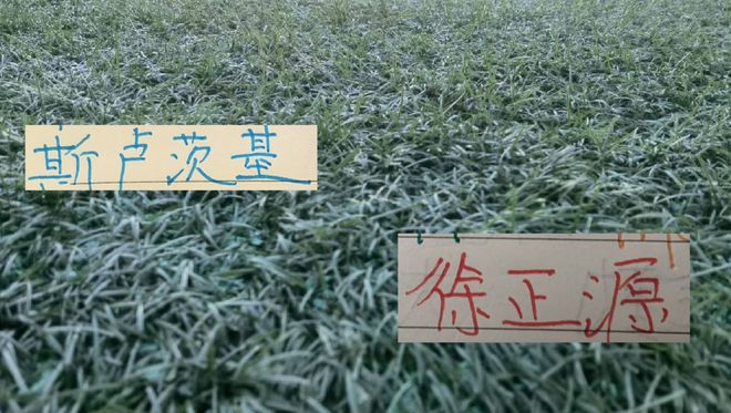 莫斯克拉送点逃红!登贝莱点球破门,K7伤口触目惊心,恩里克不满