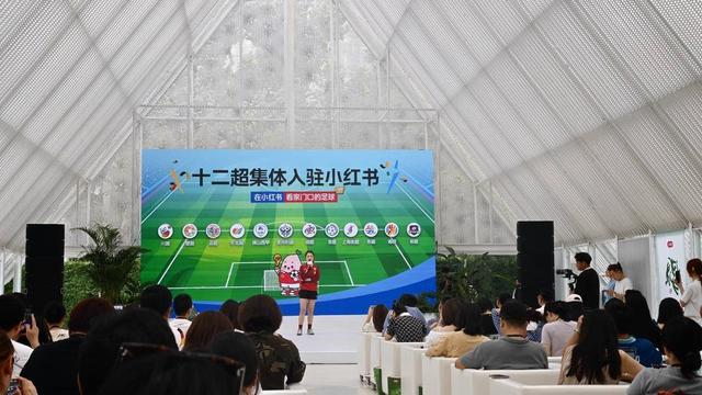 温网首轮看点，德雷珀止步四强美黑马进决赛，大坂火娃争首冠