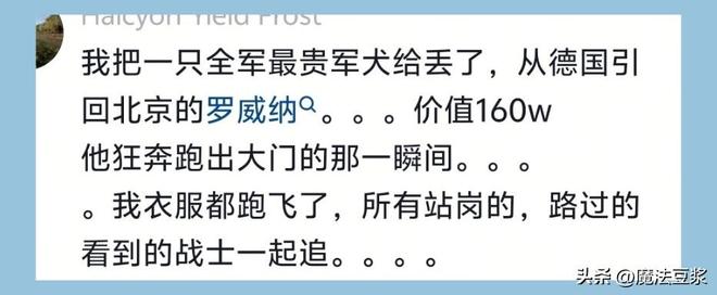 体育总局开展专项严查，王楚钦被卷入风波，多名运动员受事件影响