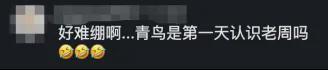 巴西总统卢拉喊话安切洛蒂：巴西是去夺冠的