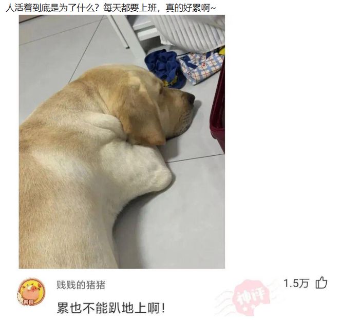 浓眉交易迷局:奇才公开挽留或是烟雾弹?勇士巴特勒成破局关键